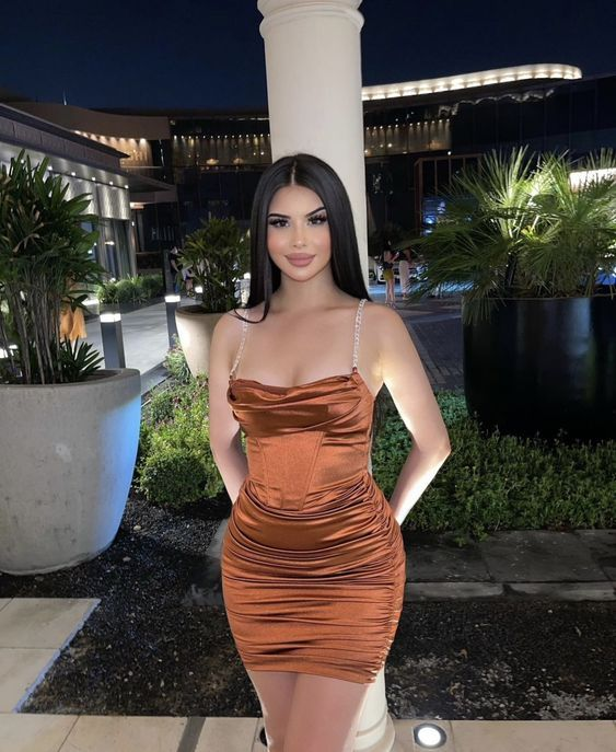 Sheath Brown Party Dress Short Homecoming Gown J3966