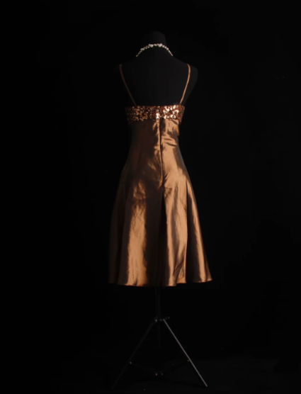 Spaghetti Strap Brown Short Prom Dress Sequin Evening Dress J8662