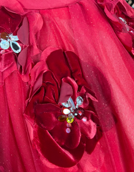 Robe de bal Quinceanera rouge à fleurs, 16 ans, chérie, J8627