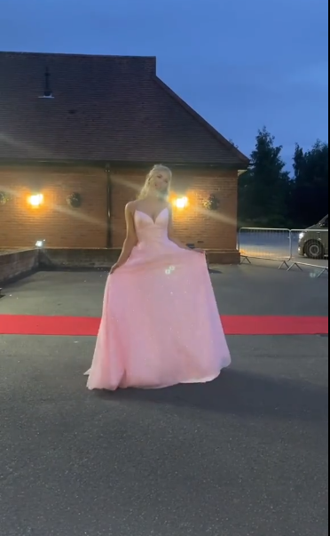 V Neck Pink Sparkle Tulle Prom Dress Long Evening Dress J8340