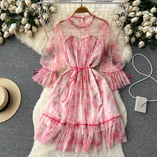 French Fairy Sweet Dress Summer Mesh Long Sleeve Dress 344