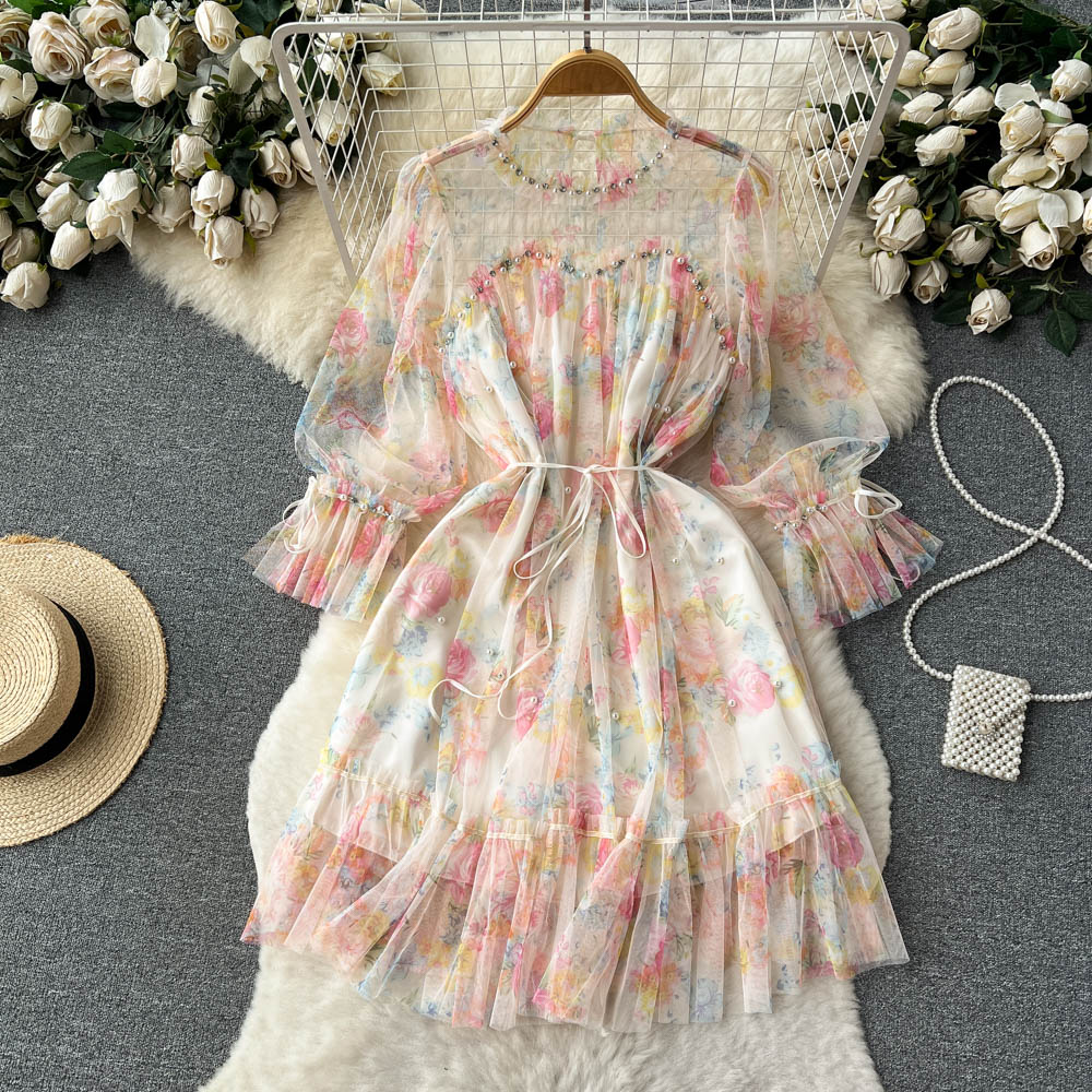 French Fairy Sweet Dress Summer Mesh Long Sleeve Dress 344