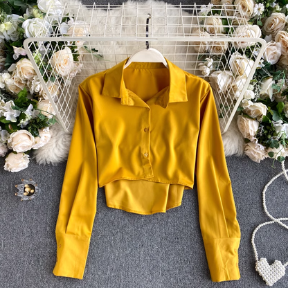 Autumn long sleeves  women shirt short top 1021